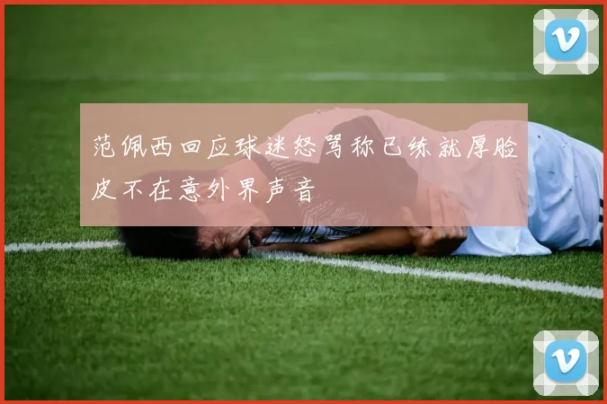 范佩西回应球迷怒骂称已练就厚脸皮不在意外界声音